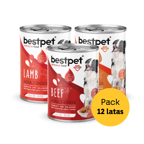mix 12 latas best pet para perros